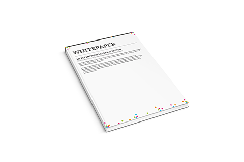 Whitepaper Build vs Buy Wordpress picture DE uitgelicht